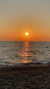 Kleopatra Atlas - Adults Only - 14