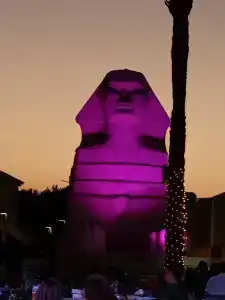 Beach Albatros Resort - 20