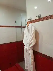 Tayozhnyij mini-hotel - 29