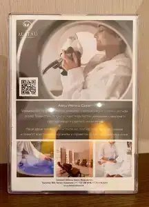 Swissôtel Wellness Resort Alatau - 41