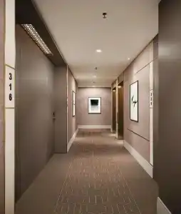 Chekhoff Moscow Curio Collection by Hilton - 20