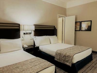 Crowne Plaza Rome St. Peter's, an IHG - 35