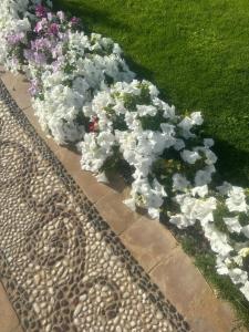 Movenpick Waterpark Resort & Spa Soma Bay - 70
