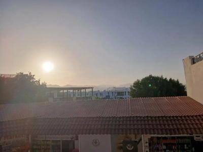 Falcon Naama Star - 43