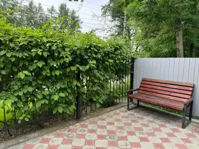 Dolce Vita ApartHotel - 59