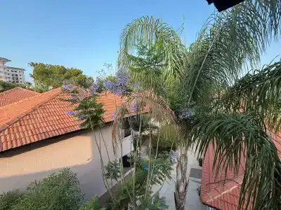 Robinson Camyuva - Adults Only - 82