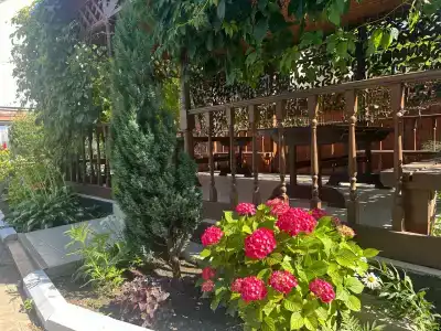 Sibiryachka - 40