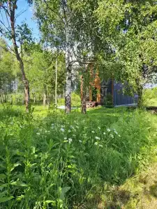 FITO-OTEL "LAVANDA" - 61