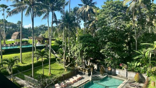 The Artini Dijiwa Ubud - 45