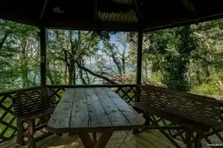 Green Wood - 27