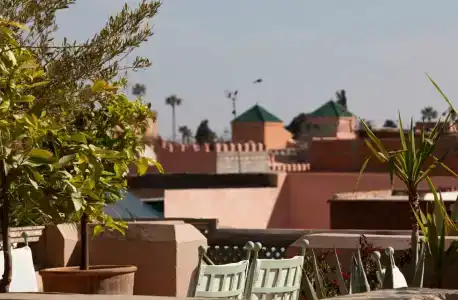 Les Jardins De La Médina - 4