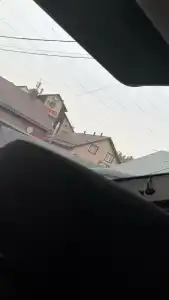 Регина Малые Клыки - 85