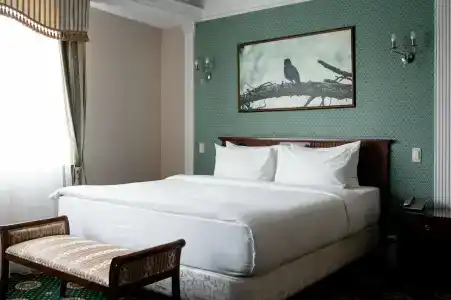 Stepnaya Palmira - 22