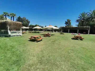 Asteria Collection - 98