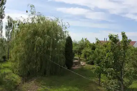 Tihiy Prichal Tourist base - 24