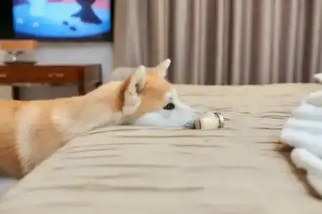 V&Rooftop lounge - 49