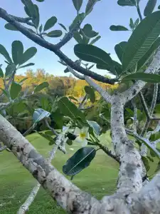 Constance Lemuria Seychelles - 9