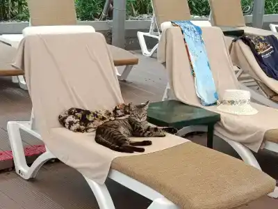 Fame Residence Kemer & Spa - 66