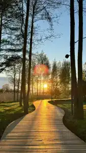 Park - Lesnaya Rivyera Resort - 23