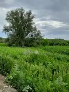 Tatarskiy etnograficheskiy kompleks Ak-Chishma Tourist base - 27