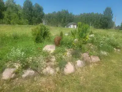 Polyana Solntsa Tourist base - 39