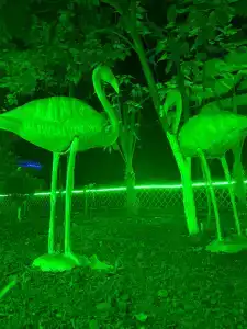 АНДАЛУСИЯ - 17