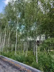 Экопарк Бобровый мыс - 29