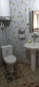 Snezhnyy Bars - 65