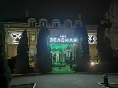Зеленая - 19