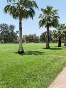 Mövenpick Grand Al Bustan Dubai - 31