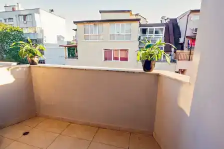 Family Gran Ivan - 5