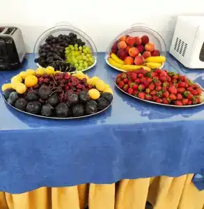 Wellness Park All-Inclusive - 11