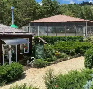 Park-Otel Kanyon Recreation camp - 47