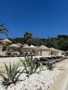 Club Marvy - 12