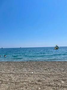 Robinson Camyuva - Adults Only - 68