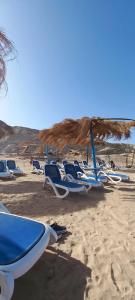 Sharm Bride Resort Aqua & Spa - 46