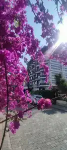 Sette Serenity - Adults Only - 19