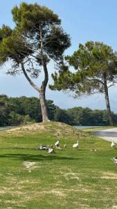 Titanic Deluxe Golf Belek - 48