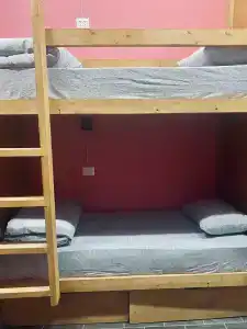 Samsonov Mini-on Stachek Avenue - 49