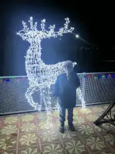 Izumrud Guest house - 26