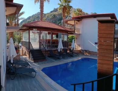 Dolphin Apart & - 37