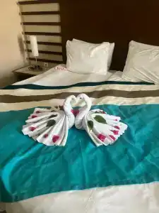 Green Max - All Inclusive - 40