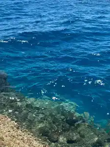 Arabia Azur Resort - All Inclusive - 11