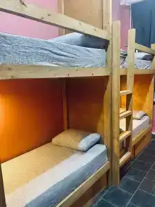 Samsonov Mini-on Stachek Avenue - 74