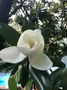 Wellness Park All-Inclusive - 32