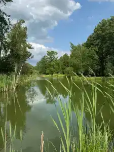 База отдыха Дубки - 38
