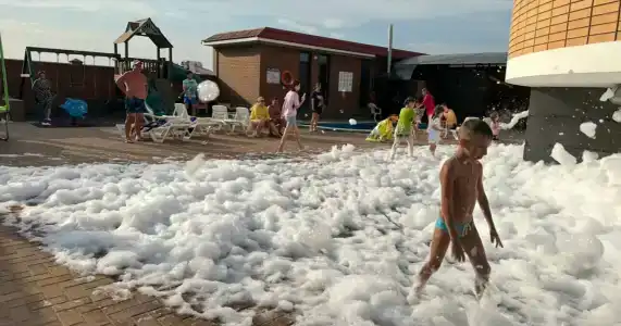 Лотос Пересыпь - 12