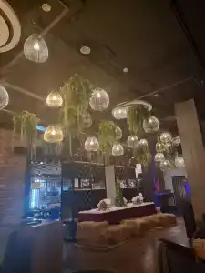 Novotel City Center - 45