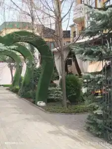 Даяна - 91
