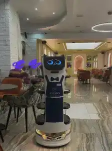 Amaks Premer Perm - 47